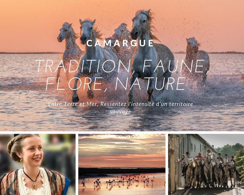 Le Nautilus Proche Plage Clim Parking Prive Wifi Proche Montpellier Carnon-Plage Exteriér fotografie